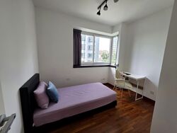 Nuovo (D20), Condominium #567781111